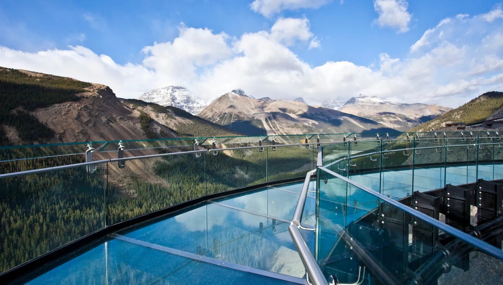 Looking along the Skywalk's glass deck toward forested slopes and snow-capped summits