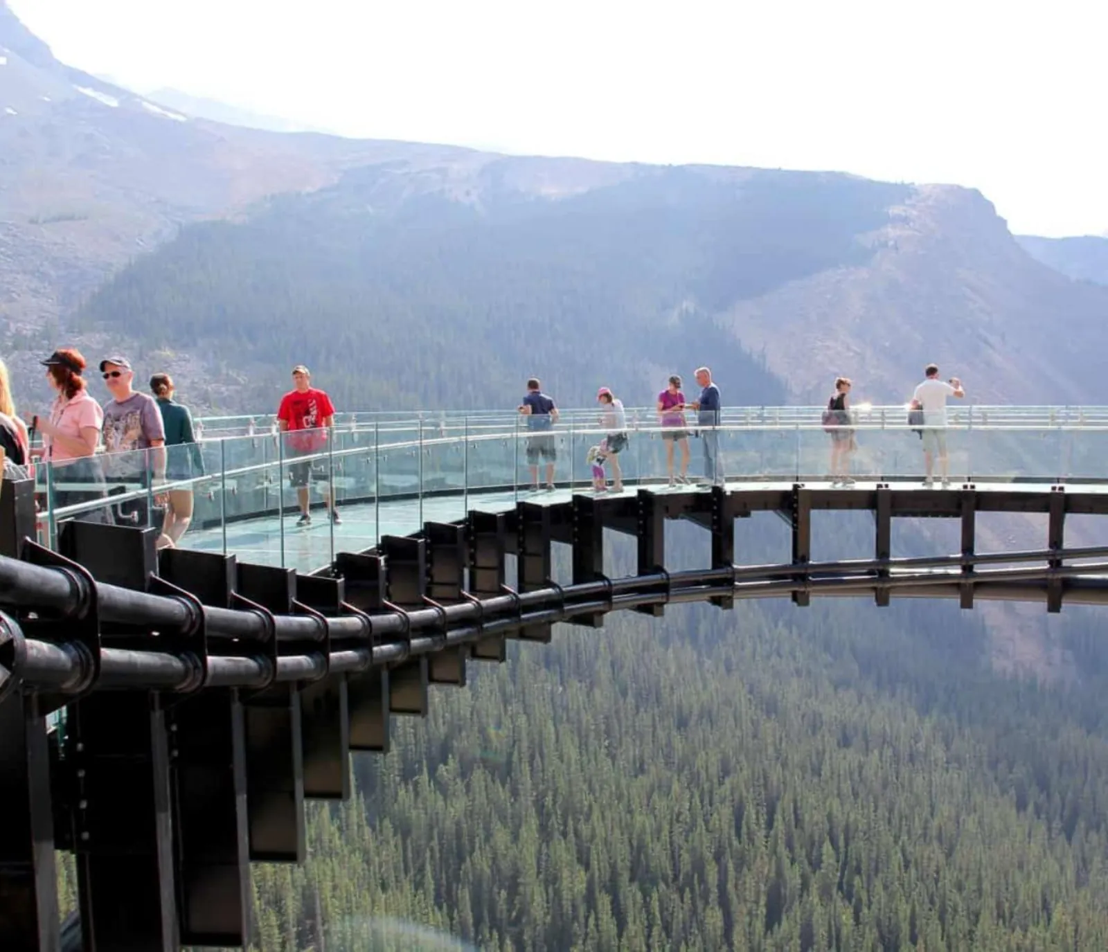 Visitors spread along the Skywalk's glass walkway above the forested Sunwapta Valley